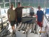 (08/20/2017) - Nice Striped Bass